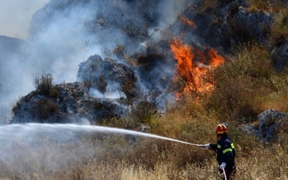 Κεφαλονιά: Φωτιά σε δασική έκταση - Ενισχύονται οι δυνάμεις της Πυροσβεστικής