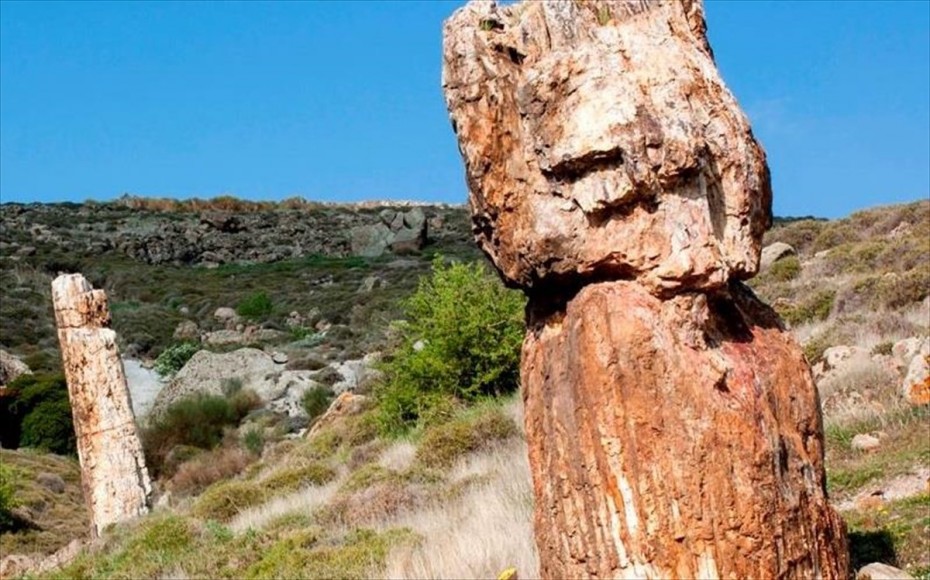 Μυτιλήνη: Εγκαίνια της έκθεσης «Κατανοώντας την κλιματική αλλαγή μέσα από το Απολιθωμένο Δάσος»