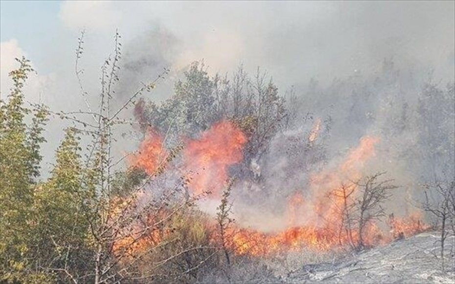 Μεγάλη πυρκαγιά στον Έβρο - Εκκενώνεται η Λευκίμη
