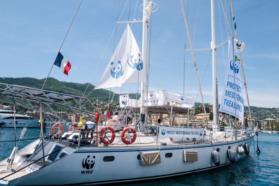 «Blue Panda»: Το ιστιοπλοϊκό της WWF ανοίγει πανιά για Μεσόγειο
