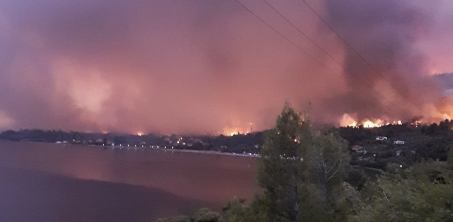 Τo ένα τρίτο των δασών της Εύβοιας κάηκε από την πρόσφατη πυρκαγιά