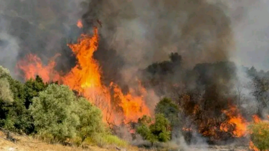 Καλαμάτα: Έχει περάσει μέσα από σπίτια η φωτιά στην περιοχή Βασιλίτσι