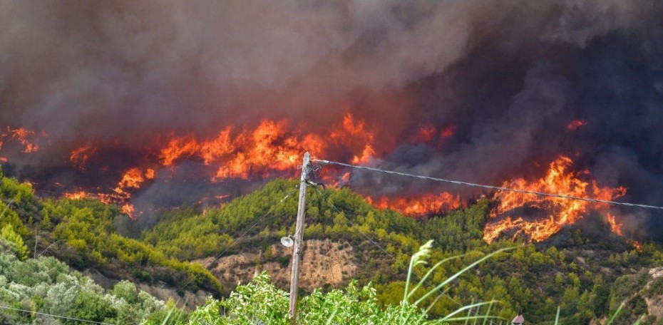 Φωτιά στην Ηλεία: Μια «ανάσα» από τα πρώτα σπίτια του χωριού Νεμούτα οι φλόγες