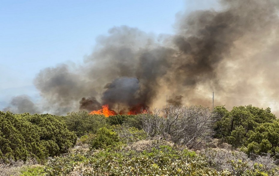 Καλαμάτα: Πυρκαγιά στην περιοχή Μέλπεια της Μεσσηνίας