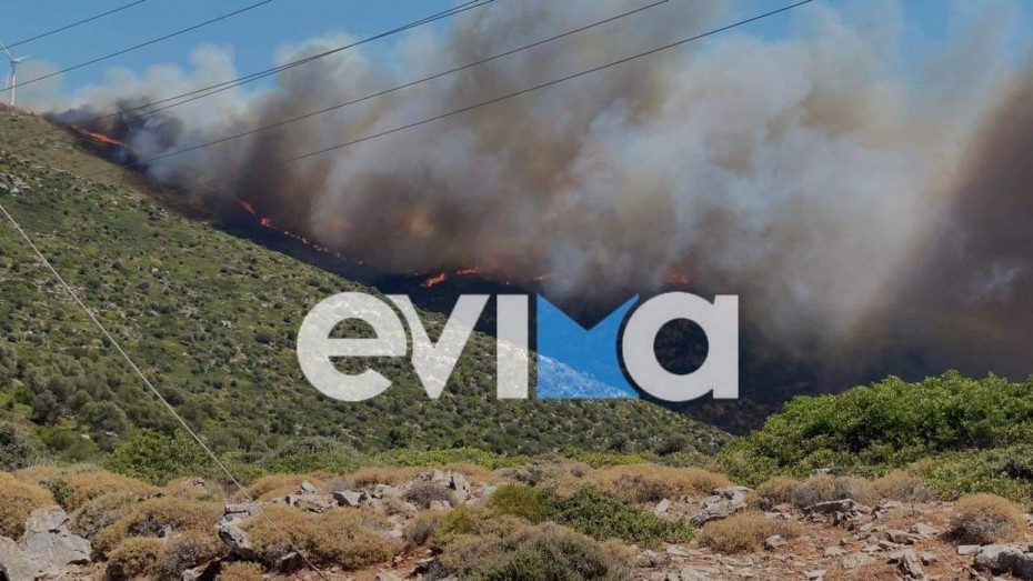 Πυρκαγιά στα Μεσοχώρια Καρύστου στην Εύβοια