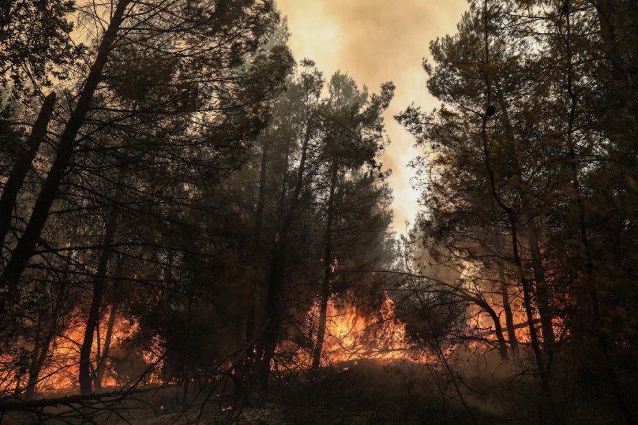 Φωτιά στα Βίλια: Οι φλόγες πλησιάζουν τον οικισμό