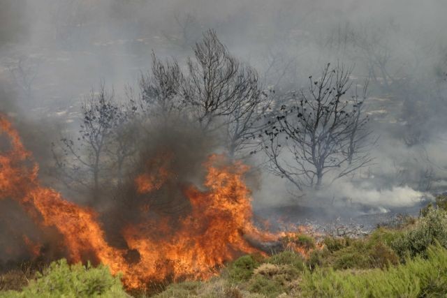 Οι πυροσβεστικές δυνάμεις αντιμετωπίζουν άμεσα μικρές εστίες φωτιάς σε Γορτυνία-Ηλεία