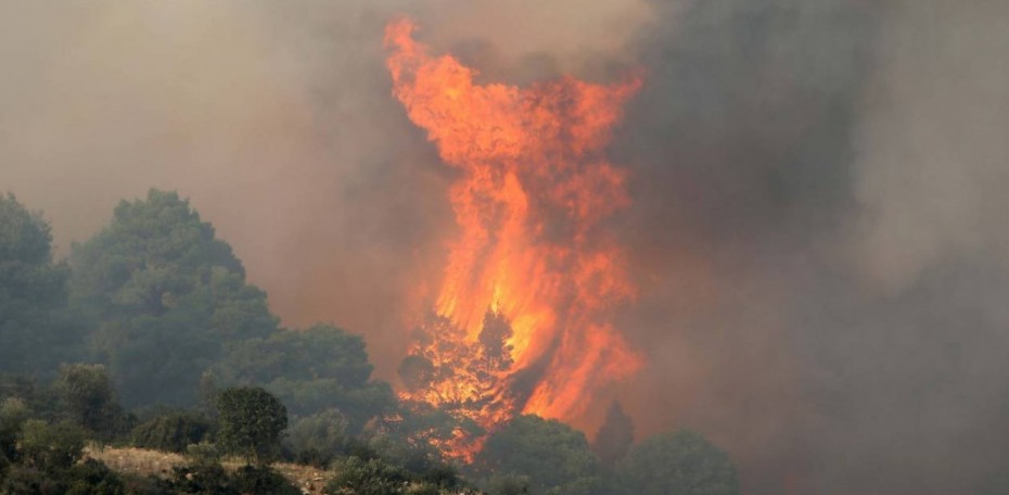 Νέα πυρκαγιά σε δύσβατη δασική έκταση στη Σιθωνία Χαλκιδικής