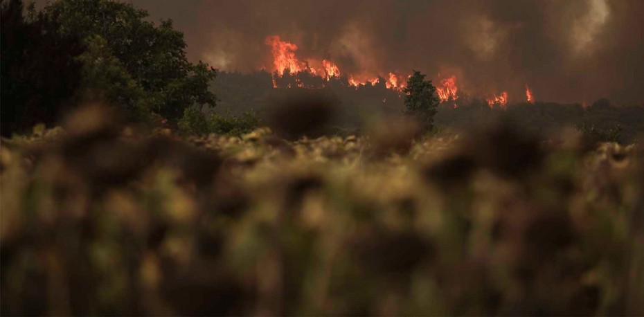 Φωτιά στην Εύβοια: Απειλείται το Ασμήνιο - Μήνυμα του 112
