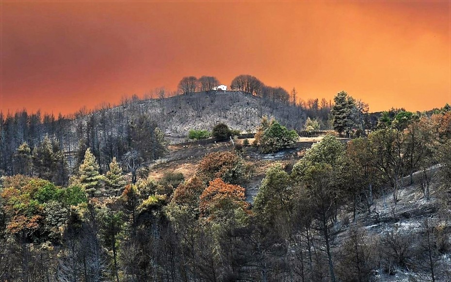 Meteo: Αύξηση 26% του αριθμού των πυρκαγιών και 450% της καμένης έκτασης στην Ελλάδα φέτος