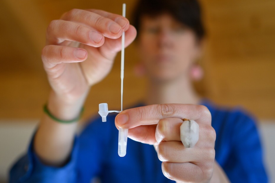 Δωρεάν 2 self test για μη εμβολιασμένους μετά την επιστροφή από διακοπές
