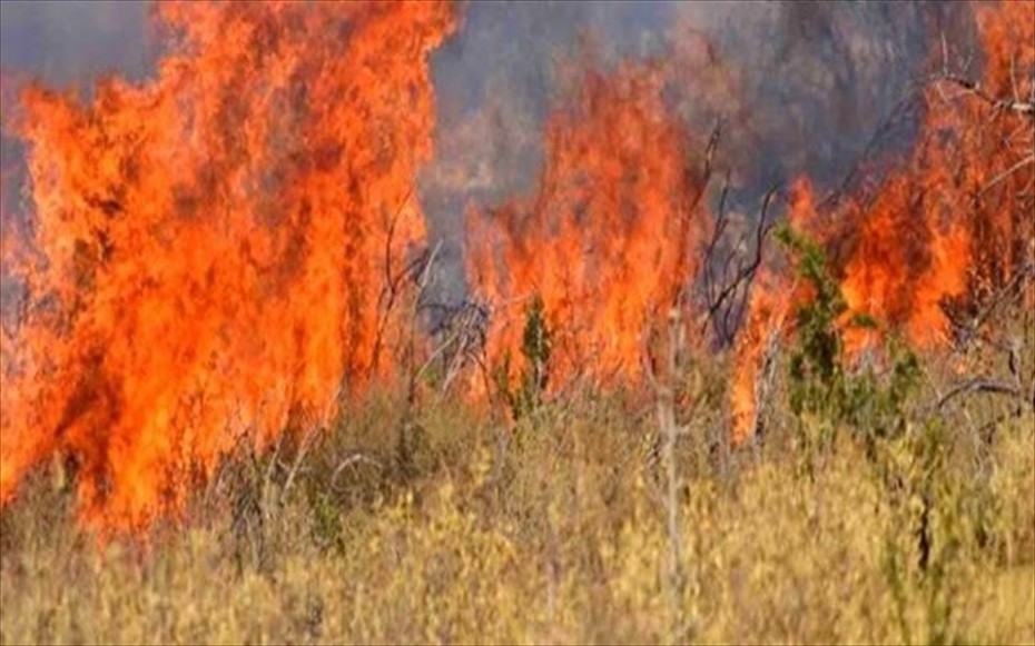 Φωτιά σε αγροτοδασική έκταση στην Αργολίδα