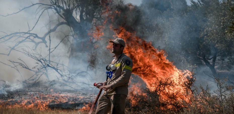Πυρκαγιά σε δασική έκταση στην Κερατέα
