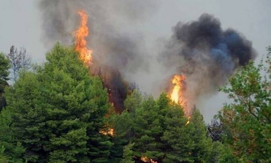 Κιλκίς: Σε εξέλιξη η επιχείρηση κατάσβεσης πυρκαγιάς σε δασική περιοχή