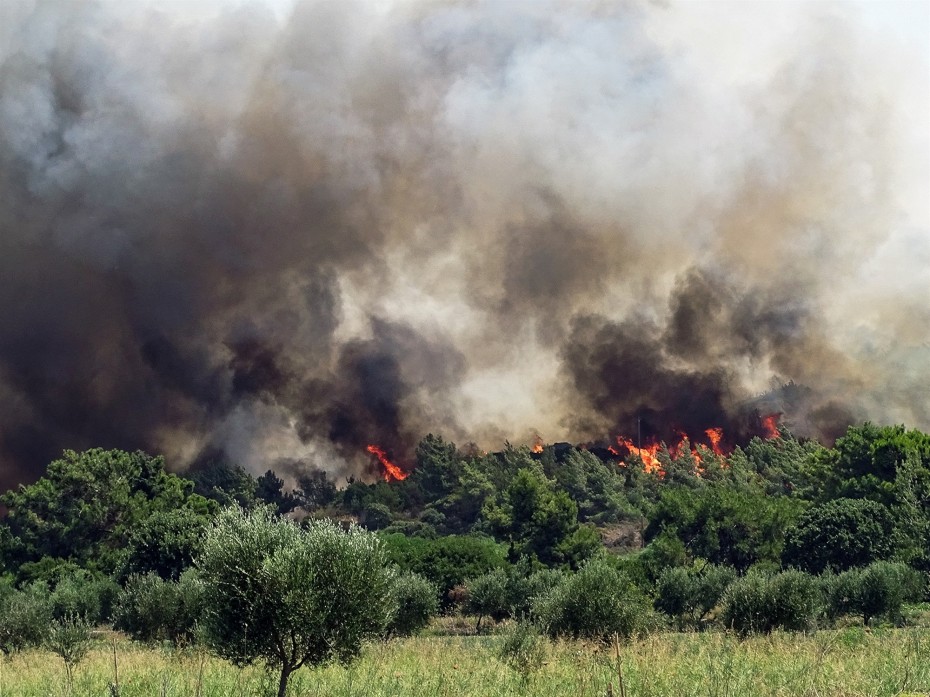 Επιταχύνονται οι διαδικασίες για τις αποζημιώσεις των πληγέντων από τις πυρκαγιές Μαϊου-Αυγούστου