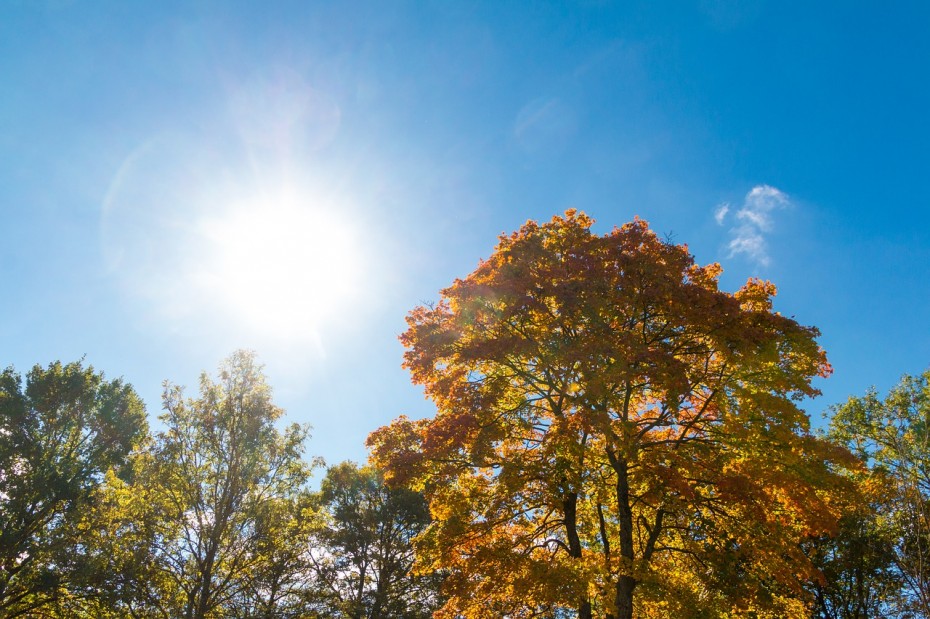 Βελτιωμένος καιρός με ηλιοφάνεια και χαμηλές θερμοκρασίες σε όλη τη χώρα
