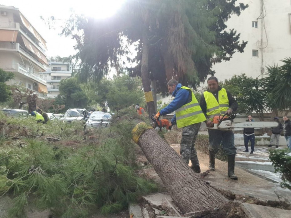 Δήμος Αθηναίων: Αποζημιώνονται οι ιδιοκτήτες αυτοκινήτων που υπέστησαν ζημιές από πτώσεις δένδρων