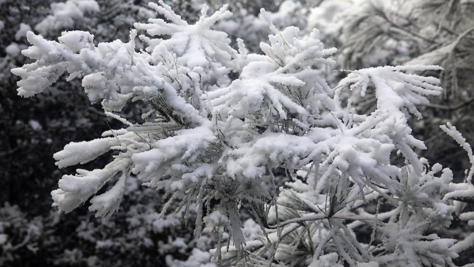 Έκτακτο δελτίο καιρού: Χαμηλές θερμοκρασίες και χιόνια φέρνει η νέα κακοκαιρία «Ελπίς»