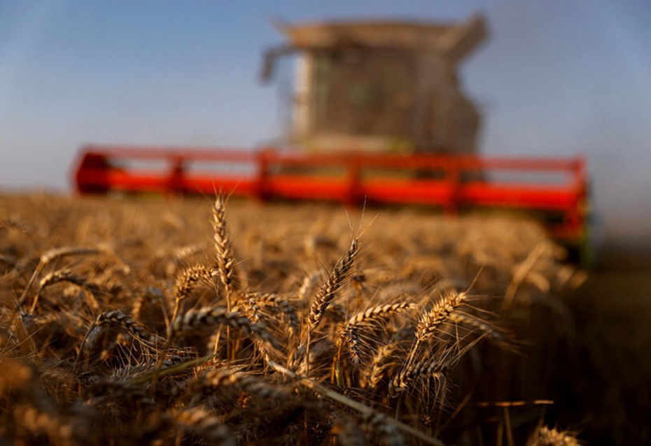 Συνάντηση Ρωσίας, Ουκρανίας, Τουρκίας - ΟΗΕ για ενδεχόμενη επανέναρξη των εξαγωγών σιτηρών 