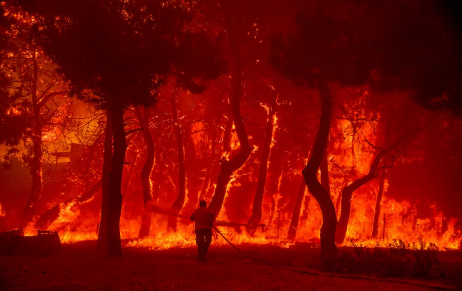 Φωτιά στον Έβρο: Μάχη δίχως τέλος στον «εφιάλτη» της  Δαδιάς