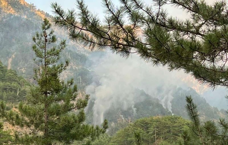 Έσβησε η φωτιά στον εθνικό δρυμό της Βάλια Κάλντα
