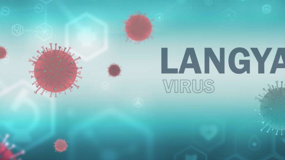 Ανησυχία προκαλεί ο νέος ιός «Langya» που εντοπίστηκε στην Κίνα