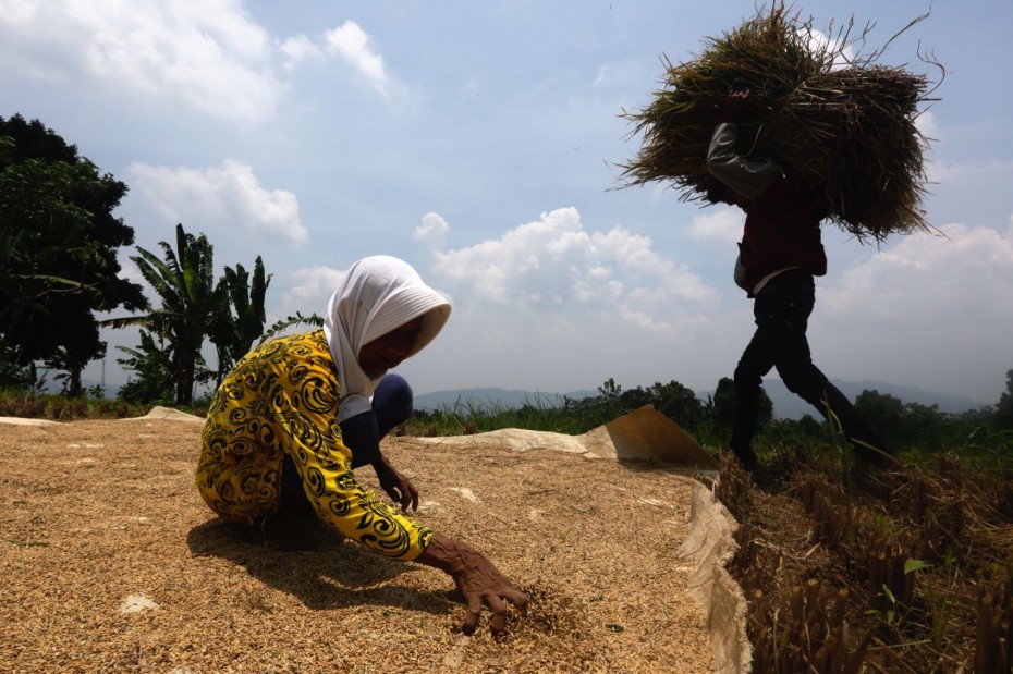 Απογοητευτική η έκθεση του FAO για τη θέση της γυναίκας στα αγροδιατροφικά συστήματα 