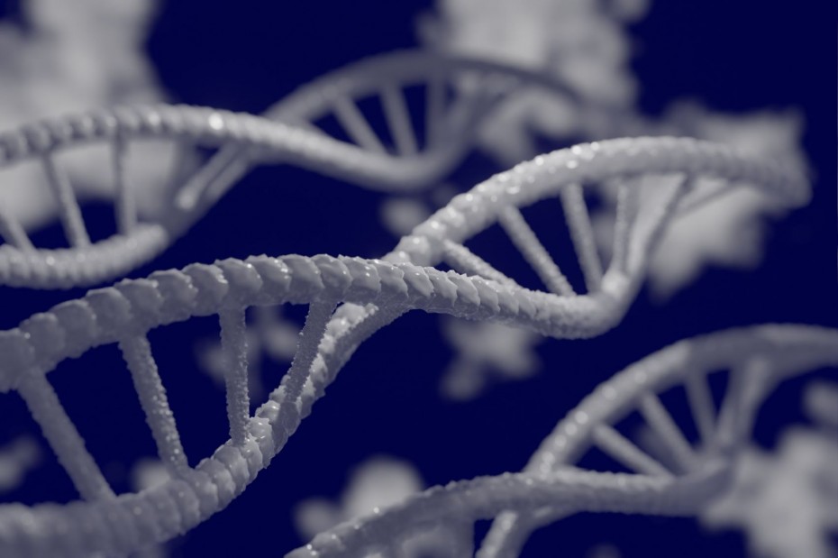 Πέρασαν 75 χρόνια από την αποκωδικοποίηση του DNA - Πως αποκαλύφθηκε το μυστικό της ζωής