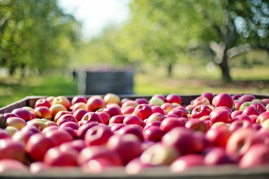 Αυξημένες κατά 29% οι εξαγωγές φρούτων και λαχανικών το πρώτο δίμηνο του 2023