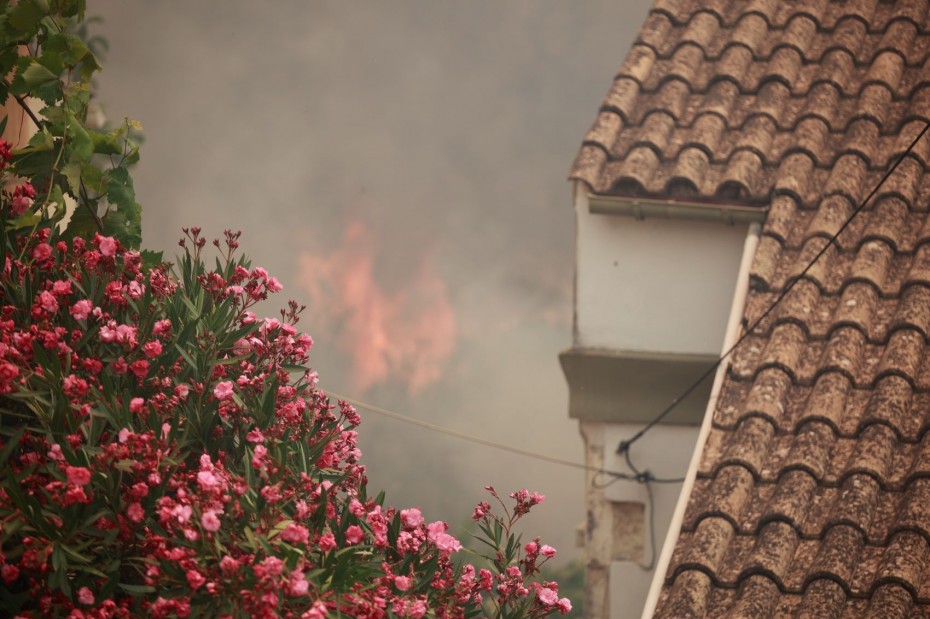 Πολιτική Προστασία: Ακραίος ο κίνδυνος πυρκαγιάς για έξι περιφέρειες