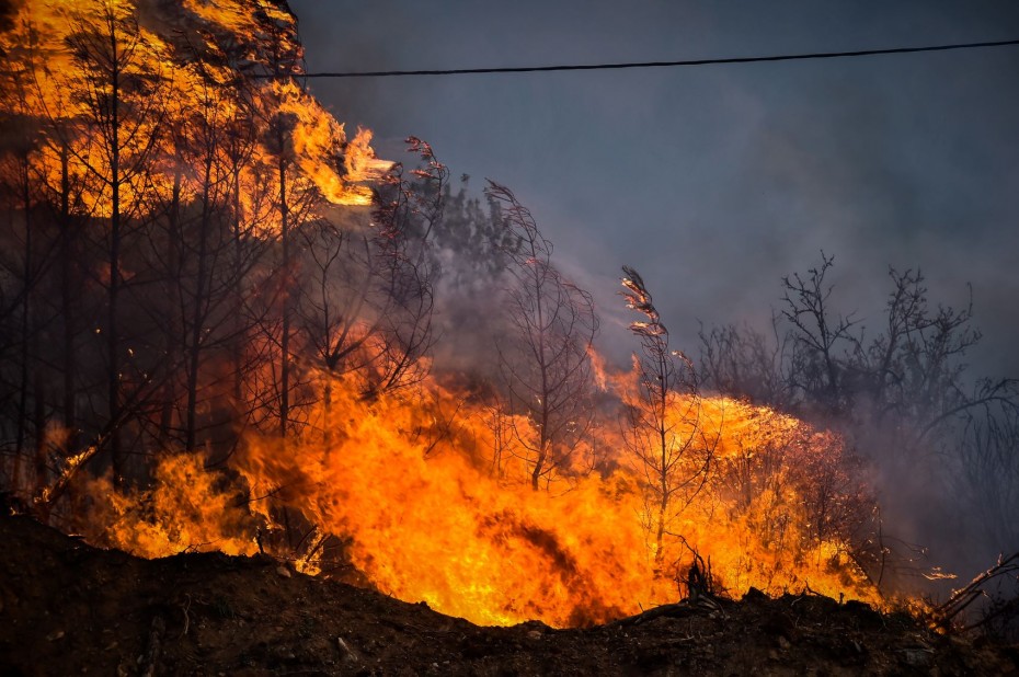 Bloomberg: Οι φλόγες που κατακαίνε την Ελλάδα «καταπίνουν» τους πνεύμονες οξυγόνου
